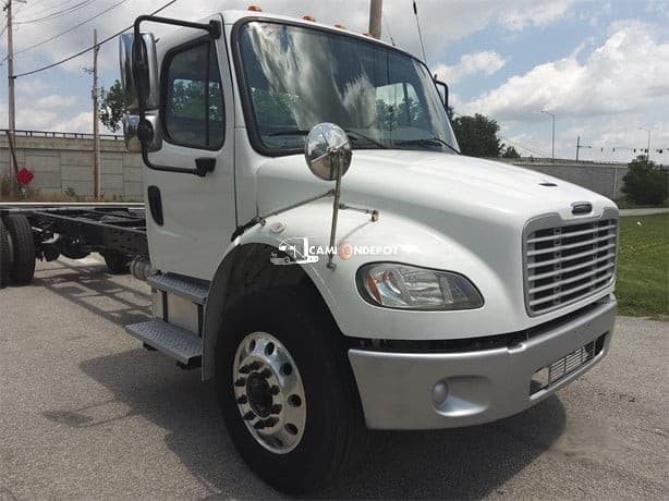 2019 FREIGHTLINER BUSINESS CLASS M2 106 Cab & Chassis Trucks